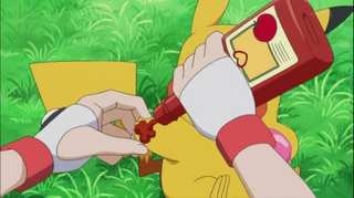 Illustration for article titled Pikachu Is Finally Reunited with His Great Love: Ketchup